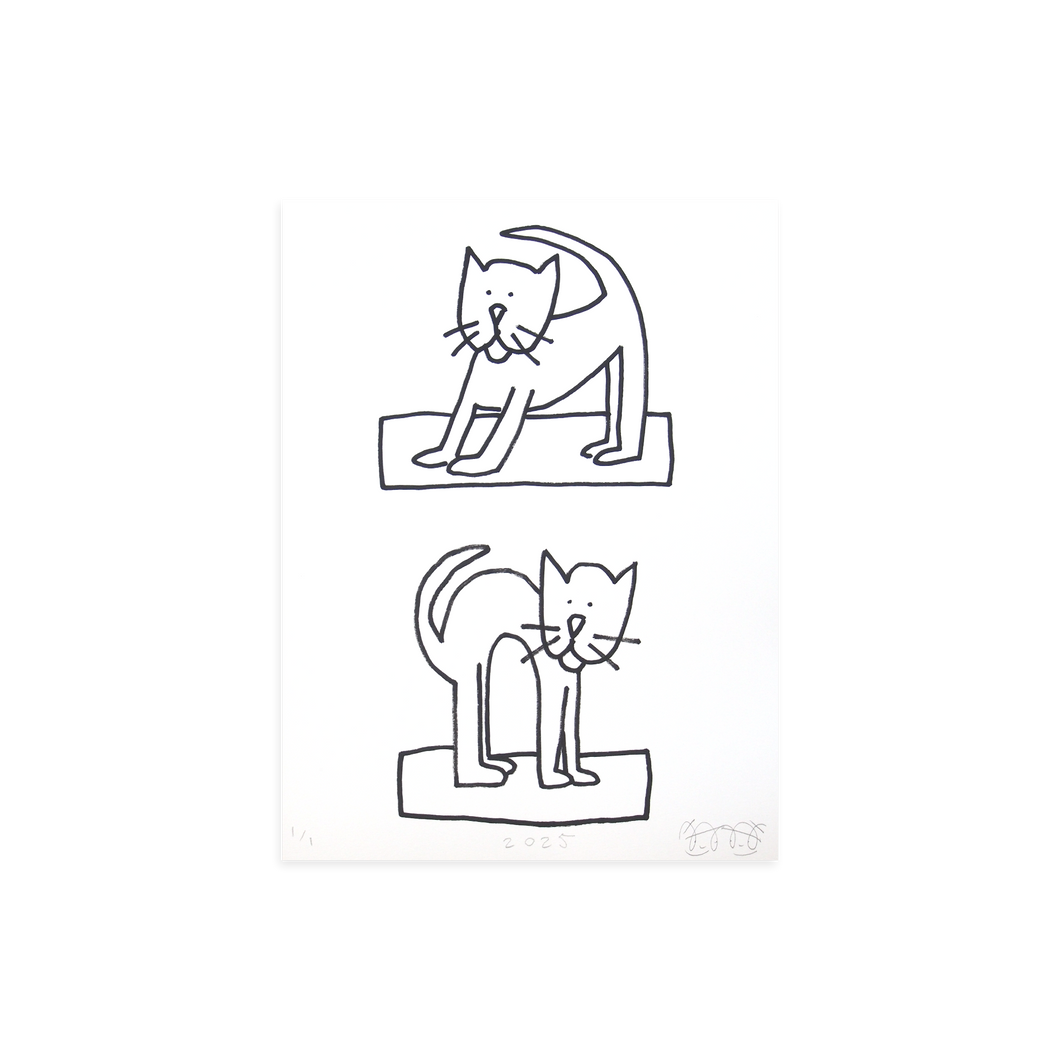 The cats