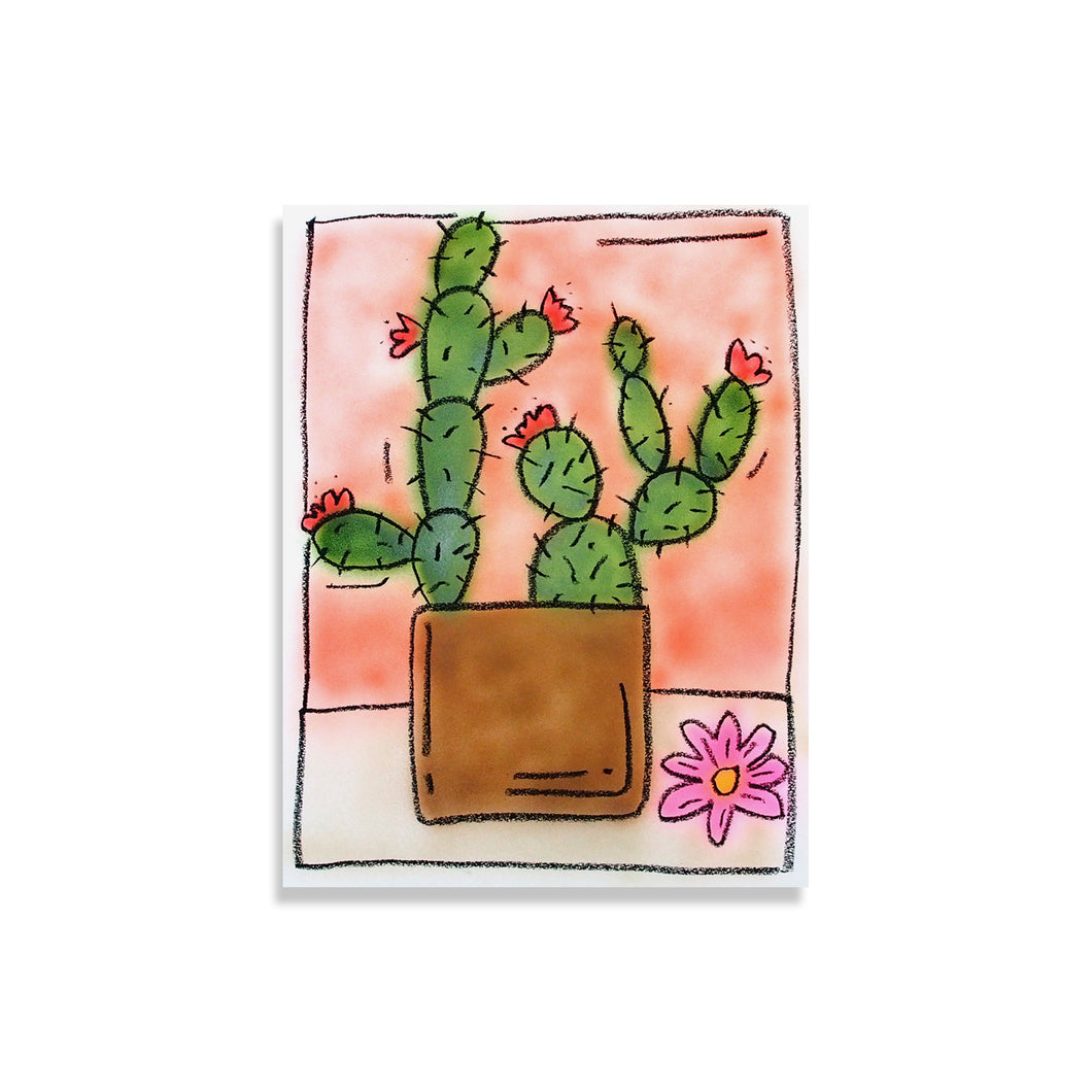 Cactus du jour