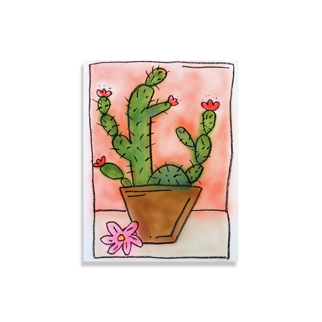 Cactus du jour 2